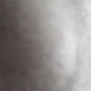 Meet your Posher, Charlene